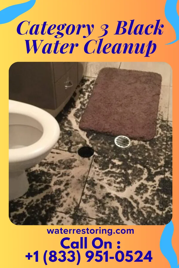 Category 3 Black Water Cleanup in Guin, AL