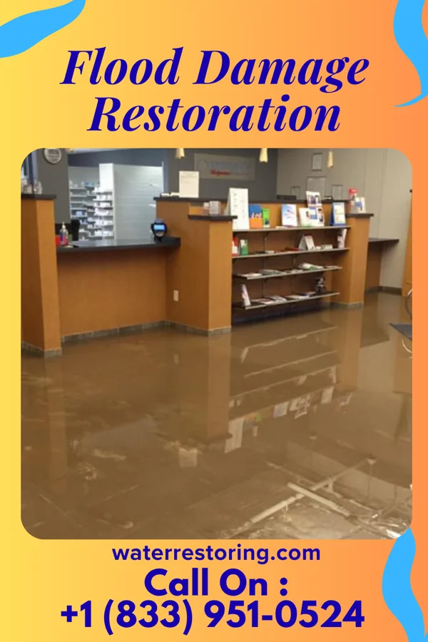 Flood Damage Restoration in Guin, AL